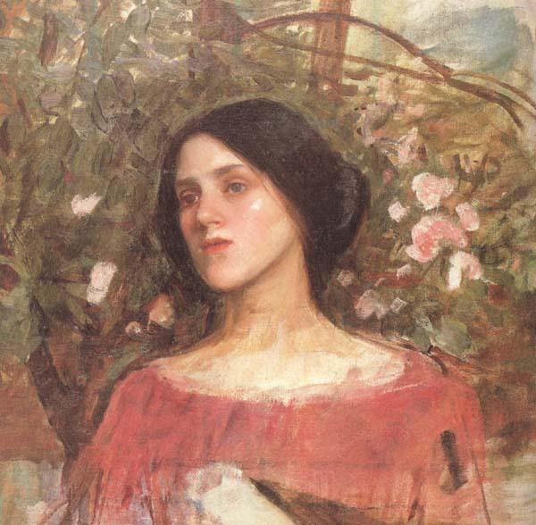 John William Waterhouse The Rose Bower (mk41)